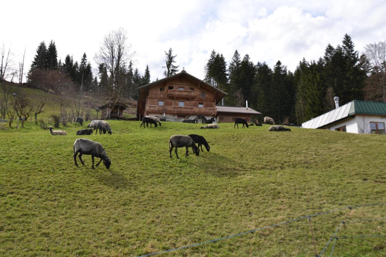 Brandhof Leilighet Reith Eksteriør bilde